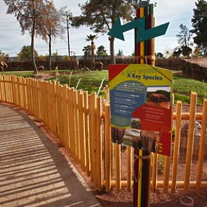 Expedition Tanzania - March 24, 2012