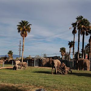 Expedition Tanzania - March 24, 2012