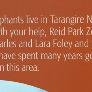 Expedition Tanzania - March 24, 2012