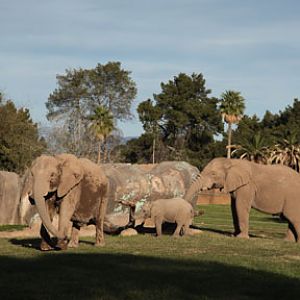 Expedition Tanzania - March 24, 2012