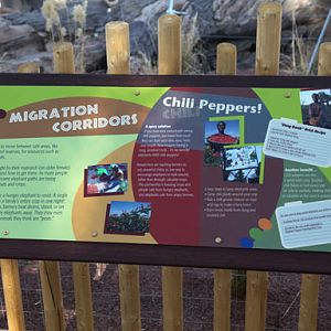 Expedition Tanzania - March 24, 2012