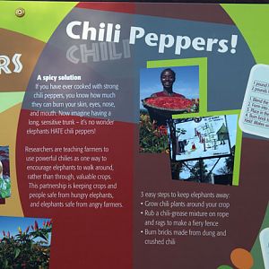 Expedition Tanzania - March 24, 2012