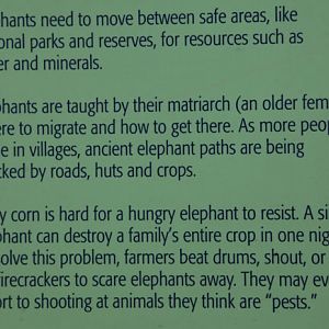 Expedition Tanzania - March 24, 2012