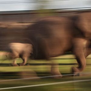 Expedition Tanzania - March 24, 2012