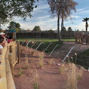 Expedition Tanzania - March 24, 2012