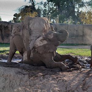 Expedition Tanzania - March 24, 2012