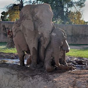 Expedition Tanzania - March 24, 2012