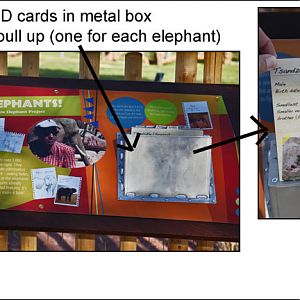 Expedition Tanzania - March 24, 2012