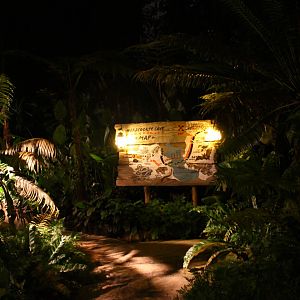 Naracoorte Cave - Entrance
