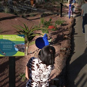 Expedition Tanzania - March 24, 2012