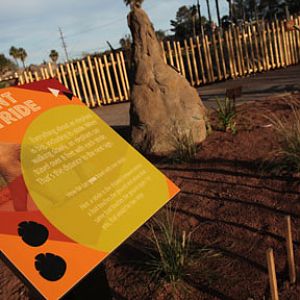 Expedition Tanzania - March 24, 2012