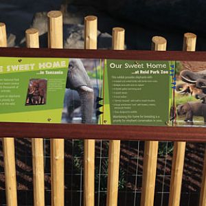 Expedition Tanzania - March 24, 2012