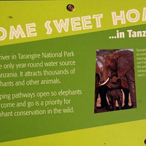 Expedition Tanzania - March 24, 2012