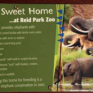 Expedition Tanzania - March 24, 2012