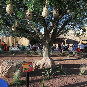 Expedition Tanzania - March 24, 2012