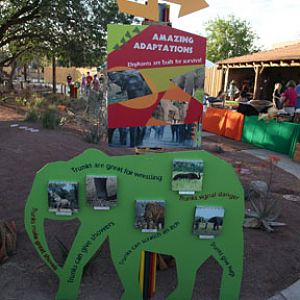 Expedition Tanzania - March 24, 2012