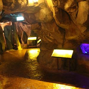Naracoorte Cave - Interior