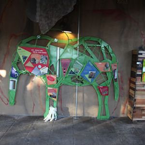 Expedition Tanzania - March 24, 2012