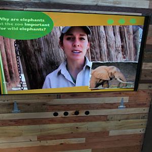 Expedition Tanzania - March 24, 2012