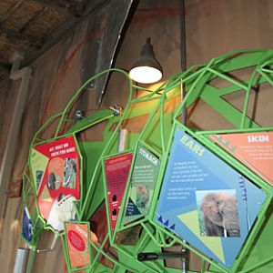 Expedition Tanzania - March 24, 2012