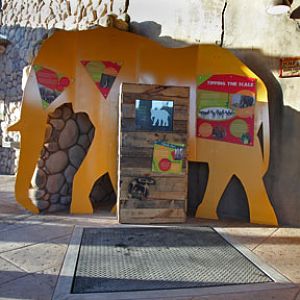 Expedition Tanzania - March 24, 2012