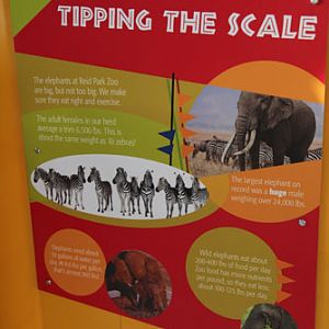 Expedition Tanzania - March 24, 2012