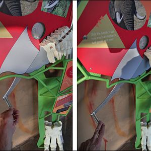 Expedition Tanzania - March 24, 2012