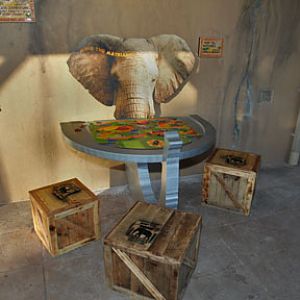 Expedition Tanzania - March 24, 2012