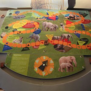 Expedition Tanzania - March 24, 2012