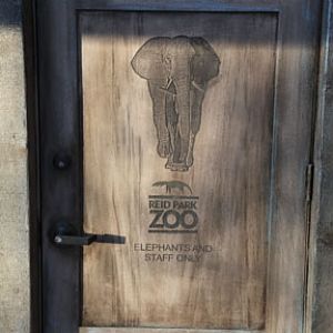 Expedition Tanzania - March 24, 2012