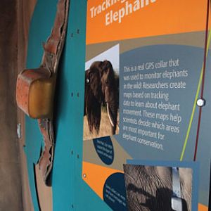 Expedition Tanzania - March 24, 2012