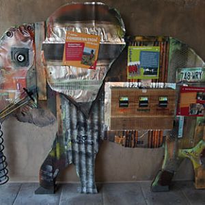 Expedition Tanzania - March 24, 2012