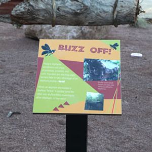 Expedition Tanzania - March 24, 2012