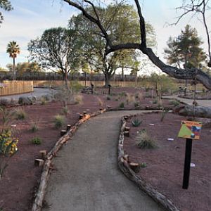 Expedition Tanzania - March 24, 2012