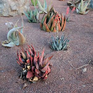 Expedition Tanzania - March 24, 2012