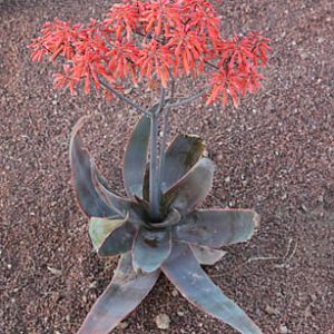 Expedition Tanzania - March 24, 2012