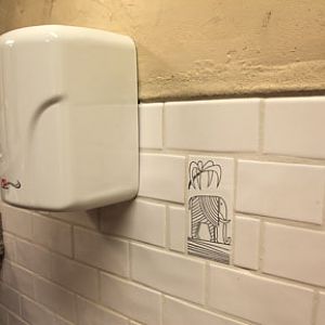 Expedition Tanzania - March 24, 2012