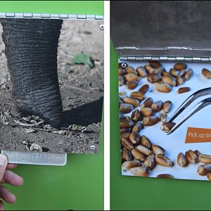 Expedition Tanzania - March 24, 2012