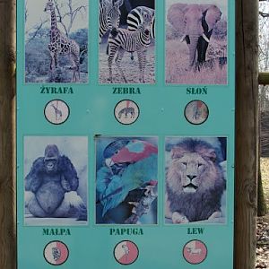 How many animals are sleeping ?