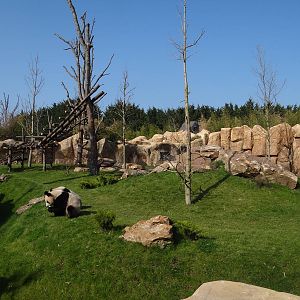 One of the two giant pandas exhibit