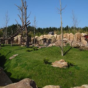 One of the two giant pandas exhibit