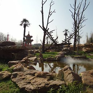 One of the two giant pandas exhibit