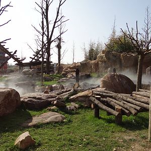 One of the two giant pandas exhibit