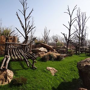 One of the two giant pandas exhibit
