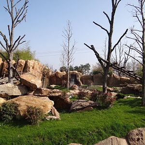 One of the two giant pandas exhibit