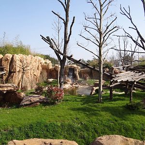 One of the two giant pandas exhibit