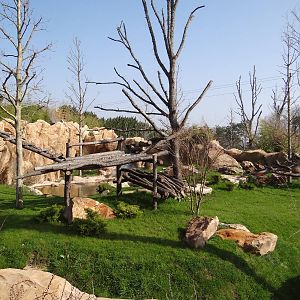 One of the two giant pandas exhibit