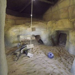 Aardvark enclosure at Blackpool Zoo 25/03/12