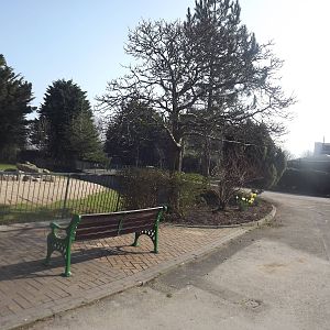 Giant Anteater exhibit at Blackpool Zoo 25/03/12
