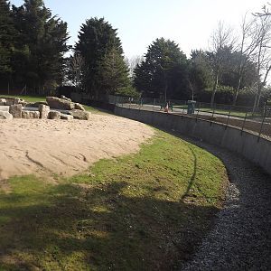 Giant Anteater exhibit at Blackpool Zoo 25/03/12